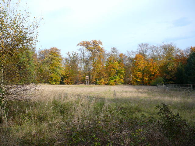 Oktober 2008 