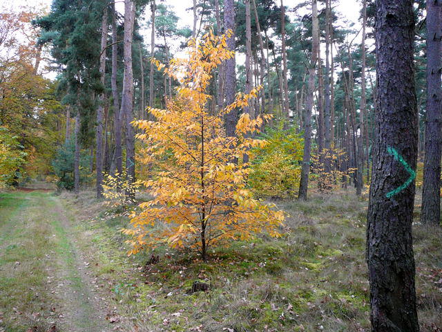 Oktober 2009