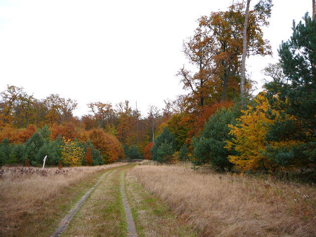 Oktober 2009