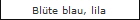 Blüte blau, lila