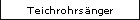 Teichrohrsänger
